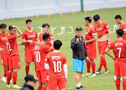 Lý Công Hoàng Anh - "cánh chim lạ" của tuyển Việt Nam