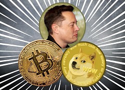 Elon Musk cố cứu Dogecoin nhưng sai cách