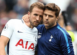 Pochettino có thể trở lại Tottenham