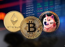 Thế hệ Z 'ngó lơ' Bitcoin