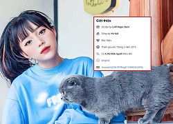 Top 5 streamer có lượt theo dõi cao nhất Facebook Việt: Độ Mixi, Linh Ngọc Đàm rất "khủng" nhưng còn lâu mới theo kịp cái tên này!