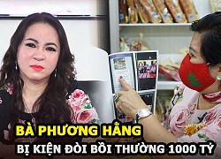 Bà Nguyễn Phương Hằng bị kiện, đòi bồi thường 1.000 tỷ đồng vì đã động đến người này