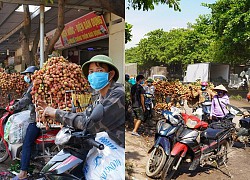 Bắc Giang: Nông dân kêu trời vì giá vải thiều lên xuống thất thường