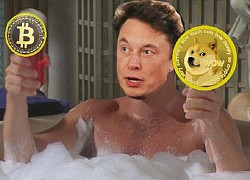 Elon Musk thích thú ý tưởng bồn tắm nước nóng kiêm máy đào Dogecoin, hy vọng giải cứu cho bong bóng sắp vỡ