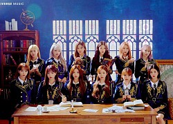 Fan IZ*ONE thành lập dự án lên đến 67 tỉ đồng để đưa idol tái hợp trở lại