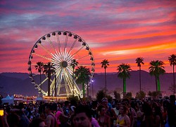 Lễ hội Coachella sẽ chính thức trở lại sau 2 năm bị hoãn, còn dàn line up thì sao?