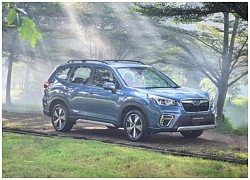 Subaru tung gói ưu đãi cho cán bộ nhân viên ngành y tế