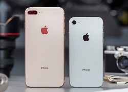 5 mẫu iPhone bán chạy nhất trong 14 năm qua