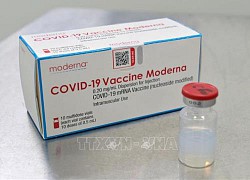 Ấn Độ cấp phép sử dụng khẩn cấp vaccine của Moderna