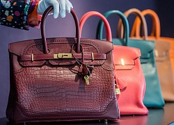 Có nên mua túi Hermès rẻ hơn nhiều lần từ tội phạm bị bắt?