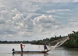 Đầm Thị Tường Cà Mau có gì mà nhiều du khách yêu thích khám phá?