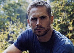 Dù đã qua đời, Paul Walker vẫn đang được cân nhắc để xuất hiện lại trong Fast &amp; Furious