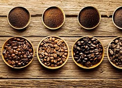 Giá cà phê hôm nay 29/6: Mục tiêu chốt lời robusta có thể là 1.814 USD; Hàng Việt Nam, Indonesia vẫn kẹt cứng