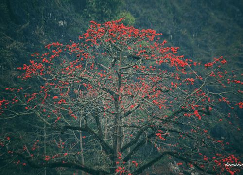 Hà Giang những trải nghiệm thú vị mà nhất định bạn phải thử