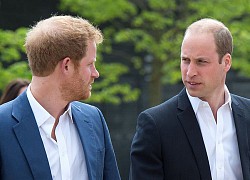 Harry muốn làm lành với anh trai nhưng không thể vì nghe lời vợ, đang bị Meghan điều khiển hoàn toàn?