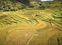 Hòa Bình & tiềm năng phát triển du lịch xanh từ ruộng bậc thang