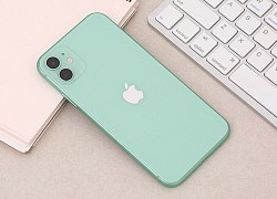 iPhone 11 chính hãng khan hàng sau khi giảm giá sâu