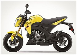 Kawasaki Z125 Pro 2022 dùng phuộc upside-down, chưa có phanh ABS