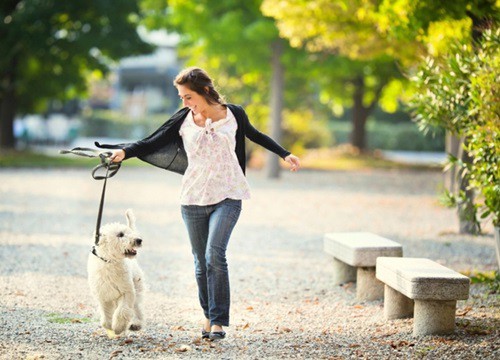 Lý do nên đi bộ chậm sau khi ăn