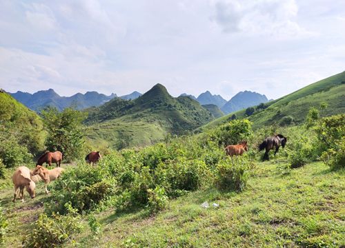 Phát hiện điểm check-in đẹp không ngờ trên cao nguyên Luốc Đắc, Cao Bằng