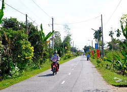 Thới Lai tập trung xây dựng nông thôn mới nâng cao