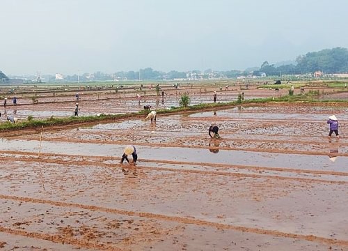 Ảnh hưởng rãnh áp thấp, Hà Nội sẽ có mưa dông đến ngày 11-6