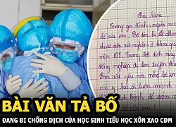 Bài văn tả bố đang đi chống dịch của học sinh tiểu học khiến người đọc rưng rưng nước mắt