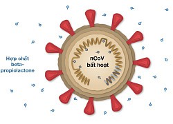 Cách thức tiêu diệt nCoV của vaccine Sinopharm