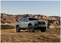 Toyota Tacoma Trail Edition 2022 ra mắt, giá gần 40.000 USD