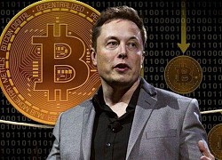 Elon Musk gián tiếp chỉ ra khuyết điểm của Bitcoin