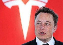 Elon Musk: 'Thiếu chip như thiếu giấy vệ sinh'