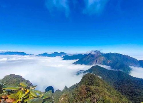 Trekking Tả Liên Sơn - Khám phá khu rừng cổ tích