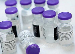 WHO kêu gọi các nước theo gương Mỹ chia sẻ vaccine ngừa COVID-19