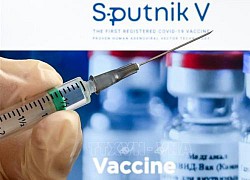 Bộ Y tế Nga: Vaccine Sputnik V phù hợp để chủng ngừa lại