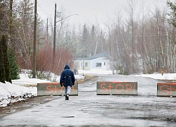 Căn bệnh não bí ẩn bùng phát ở Canada giữa khủng hoảng COVID-19