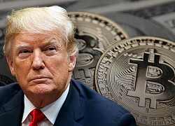 Chưa hết hoàn hồn vì Elon Musk, Bitcoin lại lao dốc sau khi bị ông Trump gọi là &#8216;cú lừa&#8217;