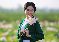 Nắng hè càng điểm tô cho mùa sen ở Hải Phòng thêm thắm tươi, rực rỡ