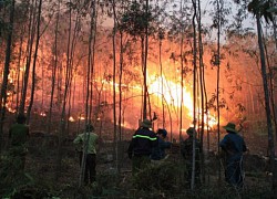 Ninh Bình: Tăng cường công tác phòng chống cháy rừng mùa cao điểm