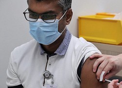 Singapore cho phép người bị dị ứng tiêm vaccine công nghệ mRNA