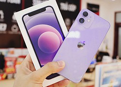 Smartphone bán chạy nhất thế giới 'sống' sao ở Việt Nam?