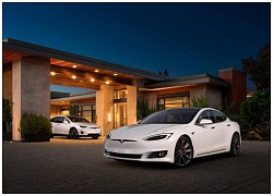 Tesla mất một nửa doanh số sau khi bị tẩy chay tại Trung Quốc