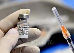 WB không ủng hộ từ bỏ quyền sở hữu trí tuệ đối với vaccine ngừa COVID-19