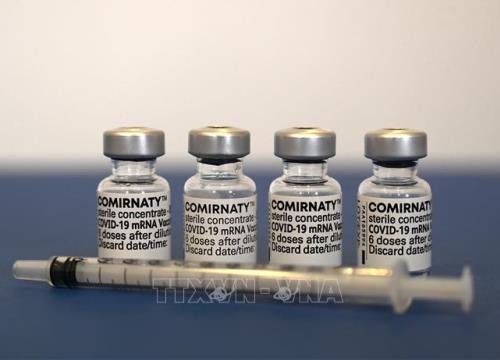 Brazil cấp phép sử dụng vaccine Pfizer/BioNTech cho trẻ em trên 12 tuổi