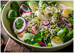 Trưa nay ăn gì: salad rau mầm giữ dáng