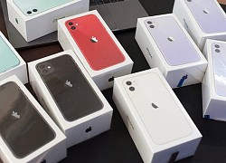 iPhone đời cũ đồng loạt giảm giá tại Việt Nam