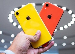 iPhone XR và loạt smartphone đang được giảm giá tại Việt Nam