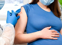 New Zealand, Australia khuyến nghị tiêm vaccine Pfizer cho phụ nữ mang thai