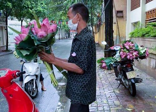 Người đàn ông nghèo Hải Dương bán hoa sen bị phạt, nhiều người thương cho tiền