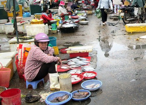 Nhóm thanh niên bắt được con cá hình thù kỳ lạ liền thả đi ngay, người hiểu chuyện lập tức khen ngợi vì họ kịp giữ được "cái mạng"