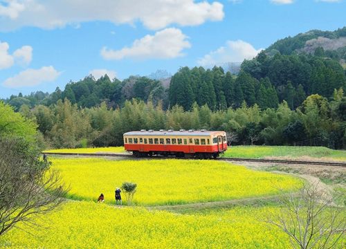 Những gam màu Nhật Bản qua ống kính chàng trai Việt